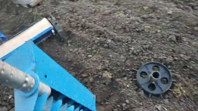 сеялки для редиса.  способы  посева редиса
