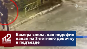 Педофил попытался изнасиловать 8-летнюю девочку в Воронеже