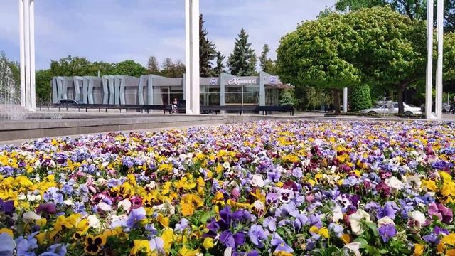 Хатоб харьков смотреть онлайн