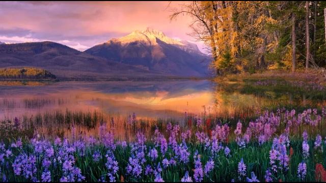 Allegro by Emmit Fenn. Classic music. смотреть онлайн