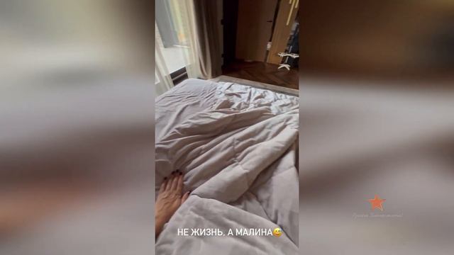 У собак Ольги Орловой не жизнь а малина!