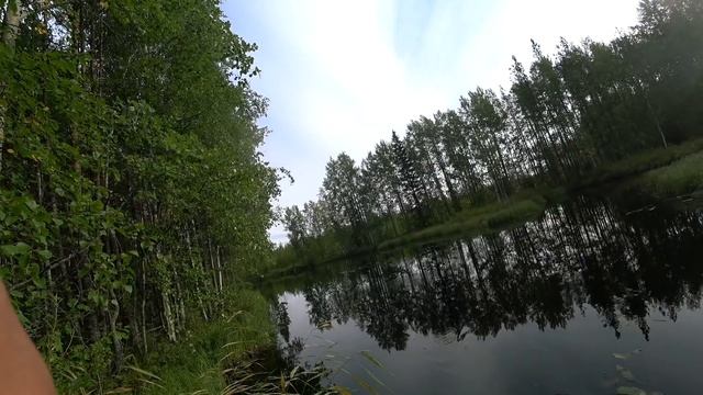 ПОХОДЫ: рыбалка в Архангельске. Ловля щуки на блесну, Южная Яда смотреть онлайн