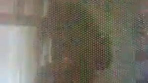 Сигарета в микроволновке