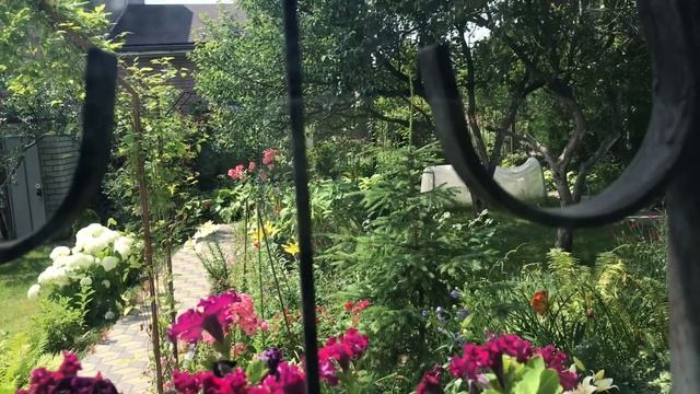 От болей в суставах и варикоз ! Только наружно ! Готова к осени и зиме ... смотреть онлайн