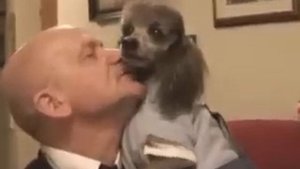 Значит, ты пришла, моя любовь.