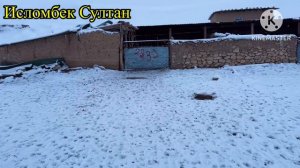 Зимистон дар Гаравути гусфандойи Исломбек Султан 🇹🇯28 02 2024 г.