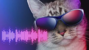 Музыка флешмоба