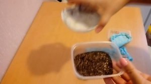 Стратификация 4 часть. Проверка. Плесень появилась!!! Спасаю семена.