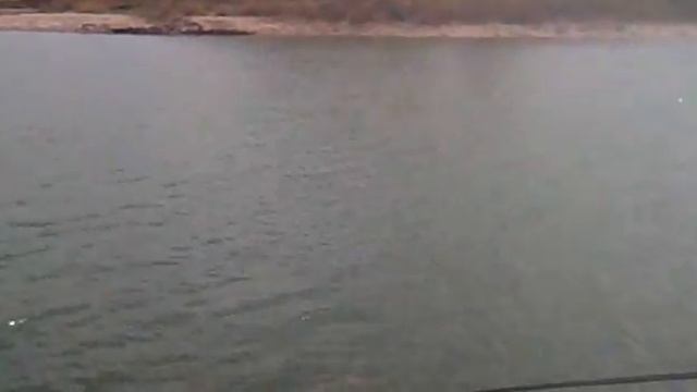 георгиевск п.Нижнезольский