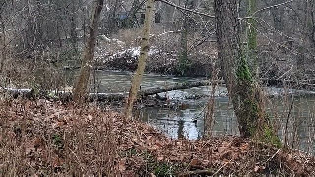 Выходной день и мы гуляем. смотреть онлайн