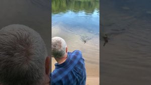 Щука Строгинский затон Москва