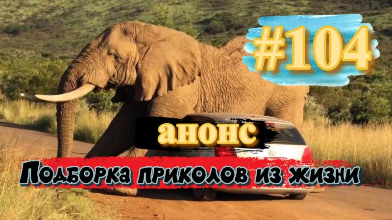 смешные видео / анонс #104 / подборка приколов до слёз / лучшие приколы