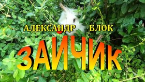 Стихотворение "Зайчик" Александр Блок