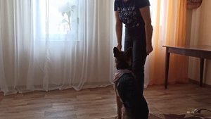 Капа 5 мес.30.01.2021.mp4