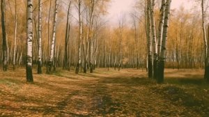Женщина с сыном-колясочником купила старый дом в деревне. Заглянули в кладовку и потеряли дар речи