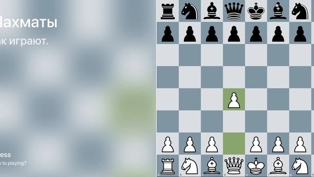 Как научиться играть в шахматы? За 10 минут объясняю основное.  #Шахматы #шахматыдлявсех