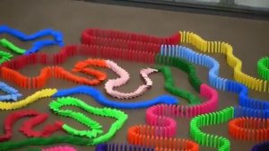 Мировой рекорд: Самый длинный эффект домино