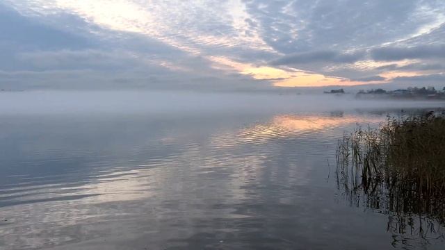 УВИДЕТЬ СВОИМИ ГЛАЗАМИ смотреть онлайн