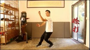 Guangzhou Yuen Chai Wan Wing Chun“Sup Yee Sik”(12 Basic Technique)真源 阮济云咏春十二式 广州陈庆君师傅