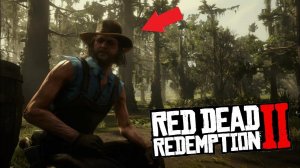 RDR 2 - Тайна Неда Люка решена и секретная локация найдена!