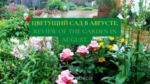 Цветущий Сад в августе  (обзор сада).?