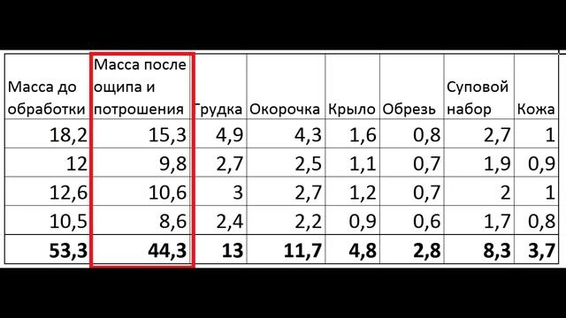 Индюки Хайбрид Конвертер 23 недели убой самок
