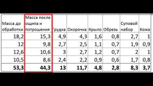 Индюки Хайбрид Конвертер 23 недели убой самок