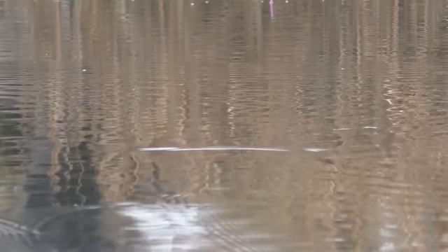 РИБАЧУ З ЗАСАДИ ПІД БЕРЕГОМ смотреть онлайн