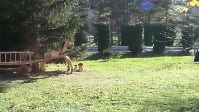 Военный санаторий