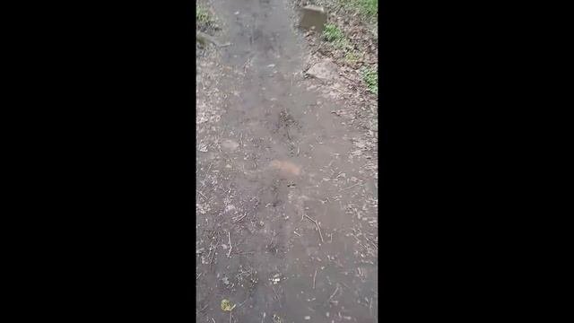 Польское католическое кладбище в Смоленске // Продолжение.