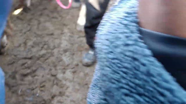 11 февраля 2024 г. смотреть онлайн