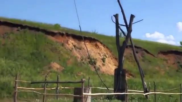 лесостепь новая