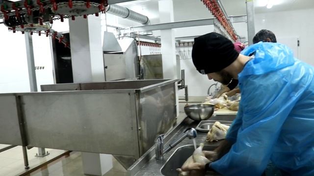 Линия забоя и ощипа птицы для фермерских хозяйств и небольших птицефабрик