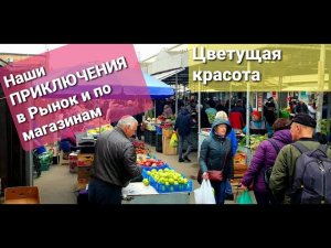 Наши приключения в рынок и по магазинам. Цветущая красота.