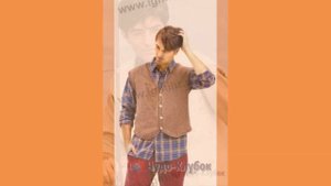 Жилеты мужские вязаные спицами