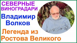 В гостях у Владимира Волкова. Ответы на вопросы и немного о новинках.