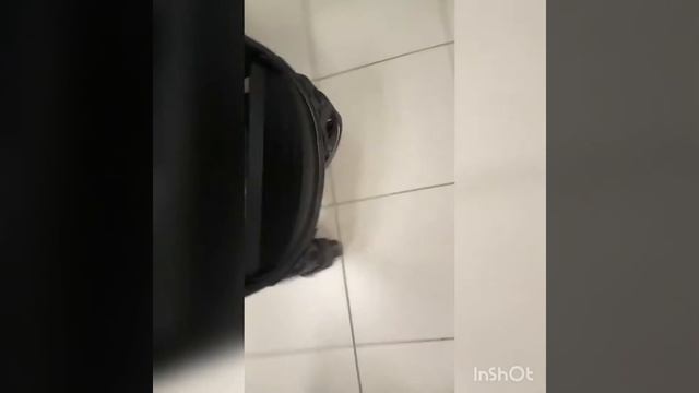 Коляска прогулочная Carrello Eclipse смотреть онлайн