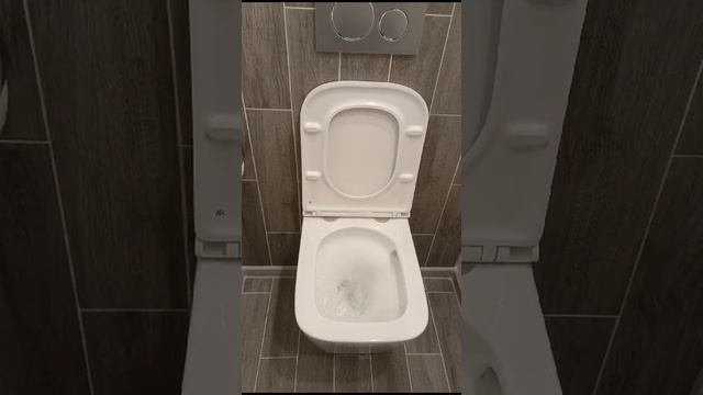 Как работает функция TORNADO и смывает воду унитаз D&K? смотреть онлайн