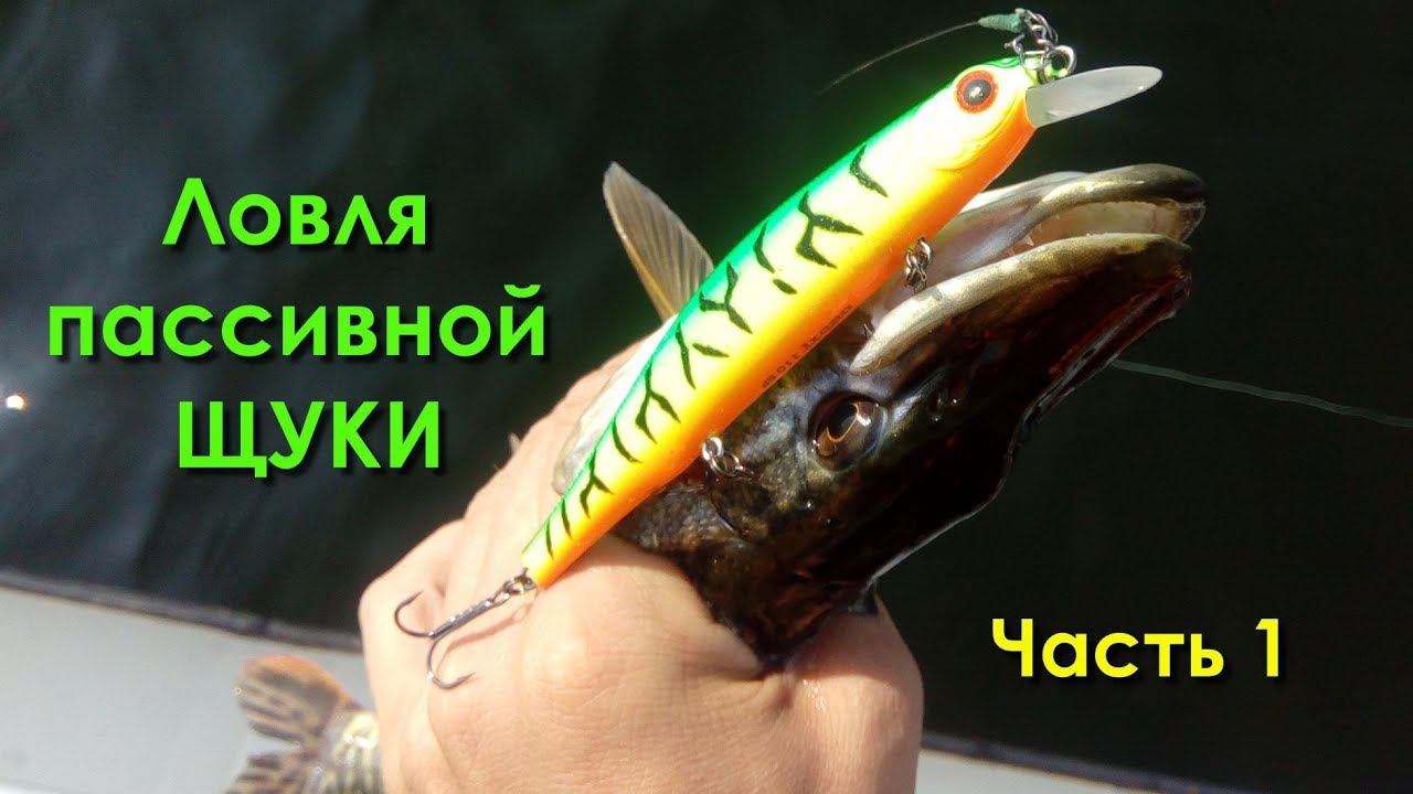 Ловля пассивной щуки (часть1). Ловля щуки на спиннинг