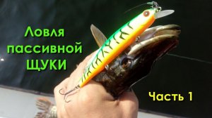 Ловля пассивной щуки (часть1). Ловля щуки на спиннинг