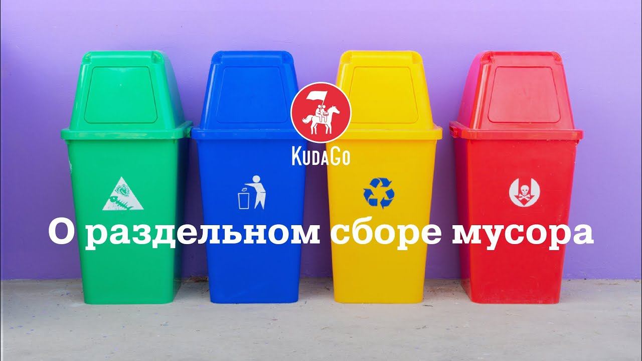 О раздельном сборе мусора в Санкт-Петербурге