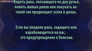 К чему снится Раки сонник, толкование сна
