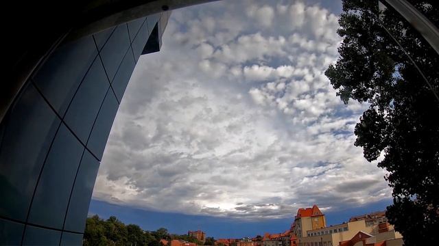 Зеленоградск с высоты птичьего полёта