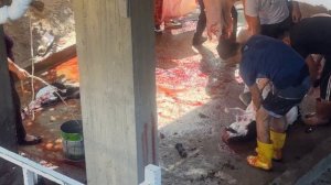 Курбан-Байрам в Турции. Режут животных