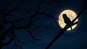 Алина Азат Каримовы  Язмышларны булмый узгәртеп (Урал Рәшитов көе)