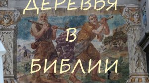 2. Деревья в Библии