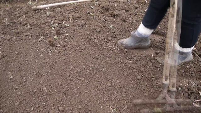 ОГОРОД ТРЕБУЕТ ПРИНИМАТЬ ПОЗУ , КАК ПРАВИЛЬНО РАБОТАТЬ С САДОВЫМИ ГРАБЛЯМИ , смотреть онлайн