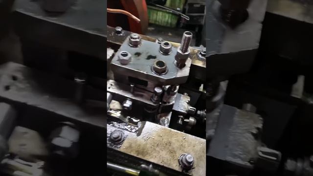 г.Ростов-на-Дону Доломановский 19 Запись WhatsApp +79896333404 inst: dima_nogtepil смотреть онлайн