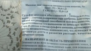 У чеснока желтеют кончики листьев. Поможет сульфат аммония ?