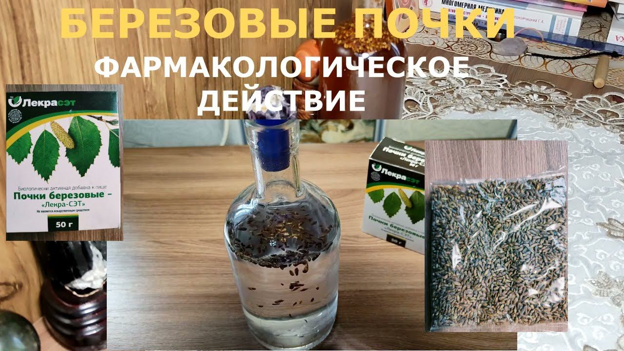 БЕРЕЗОВЫЕ ПОЧКИ ЭФФЕКТИВНЫЕ РЕЦЕПТЫ